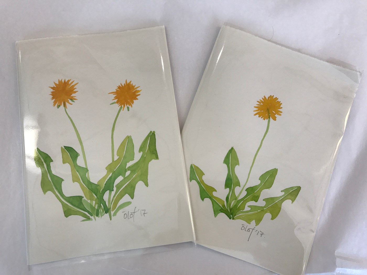 ​Kirsuberjatréð in Reykjavík, Iceland is a Shop that Will Cheer You Up Like Dandelions - Cards Designed by Local Artist Ólöf Erla Bjarnadóttir