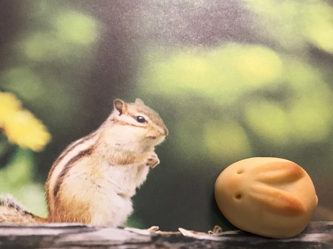 Alvin's Long Lost Pal, an Usagi (Rabbit) Tsukimi Dango (Moon Cake) at Minamoto Kitchoan in Palo Alto, California