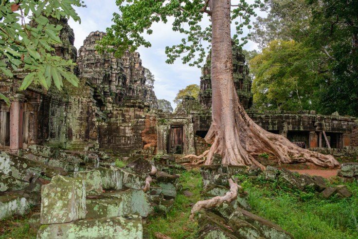 Cambodia - Photo Courtesy of Emma Pamley - Liddell