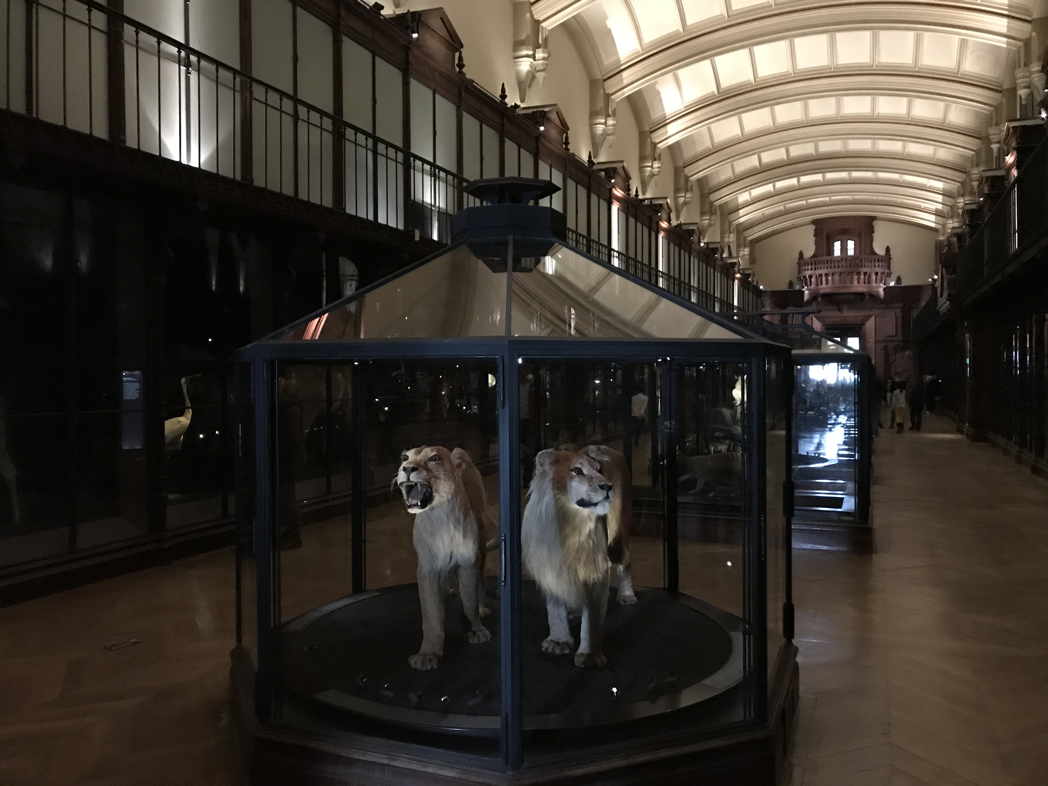 The Espèce Menacées, Espèces Disparues (Threatened Species, Extinct Species) Exhibit at the Grande Galerie de L'Évolution in Paris, France