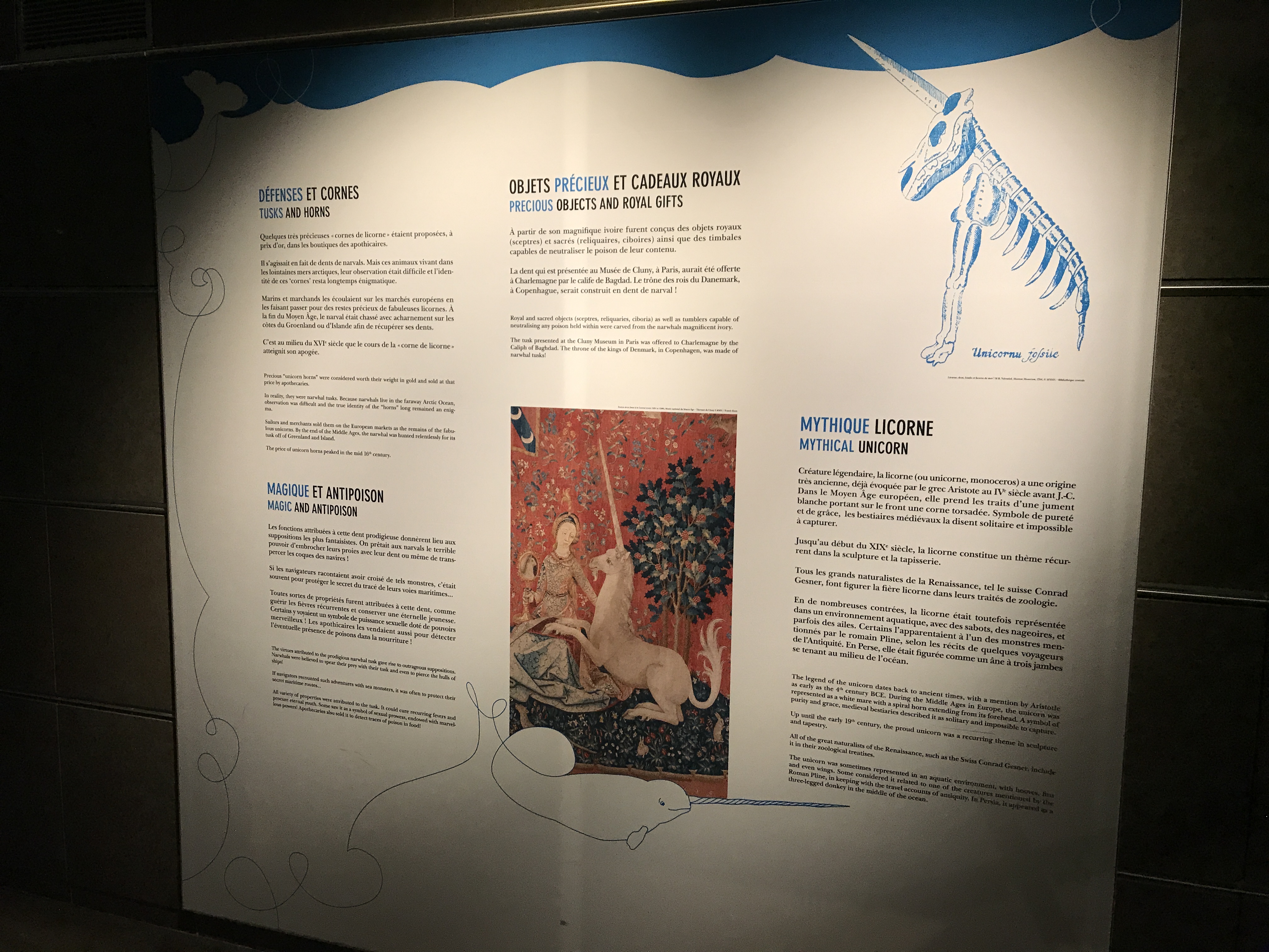 Kids Can Learn About Unicorn Myths and Their Tie to Narwhals at the Grande Galerie de L'Évolution in Paris, France
