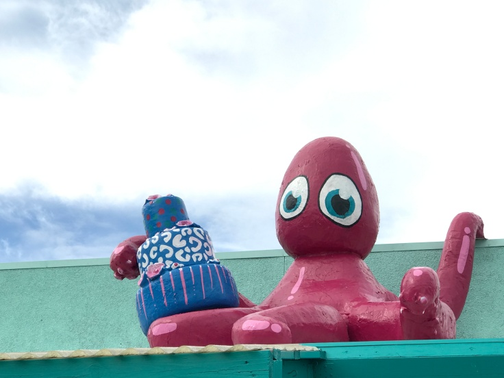 Yoshi the Bright Pink Octopus in Reykjavík, Iceland