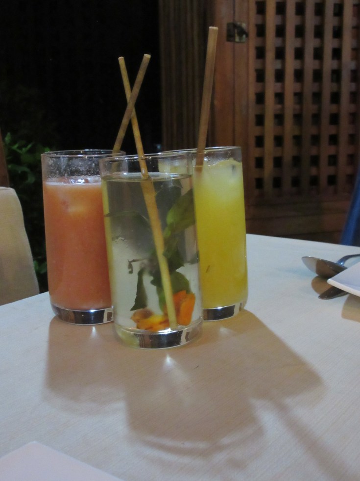 Sips of Local Flavor - El Romero Eco Restaurant in Las Terrazas, Cuba Serves a Drinks Made With Ingredients Like Carcuma (Tumeric), Guava, Papaya, Cass and Banana