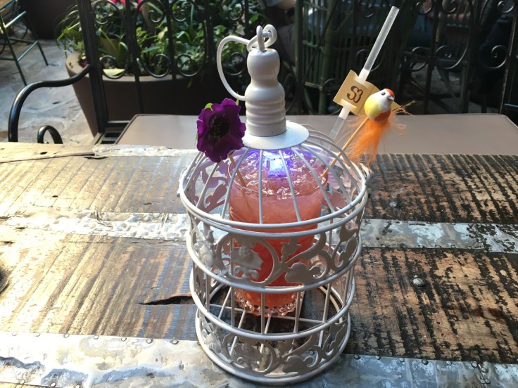 mi-lindo-pajarito-my-cute-little-bird-cocktail-drink-bird-cage-salvador-bachiller-el-jardín-de-sb-madrid-spain-restaurant