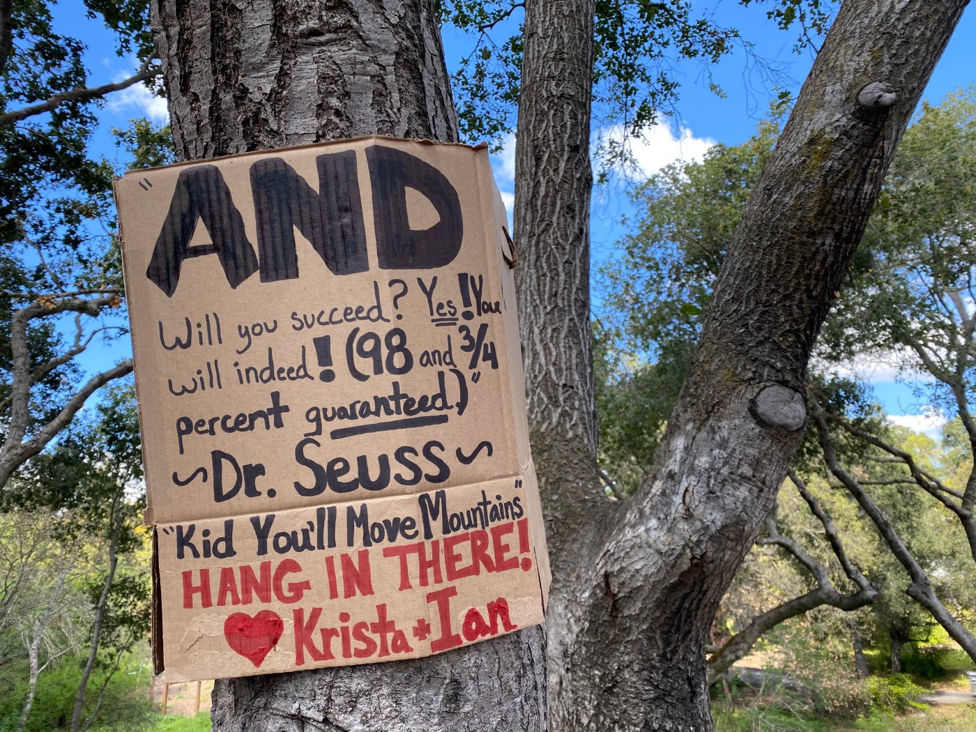A photo of a handmade cardboard sign in a Santa Clara county neighborhood with a Dr. Seuss quote trying to inspire neighbors. It says, "And will you succeed? Yes! You will indeed! (98 and 3/4 percent guaranteed.) ~ Dr. Seuss ~ Kid You'll Move Mountains. Hang in there!
